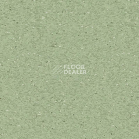 Линолеум Tarkett iQ Granit MEDIUM GREEN 0426 фото 1 | FLOORDEALER